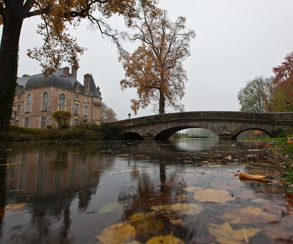 Обои вода, листья, мост, осень, дом, дождь, пруд, water, leaves, bridge, autumn, house, rain, pond разрешение 1920x1200 Загрузить