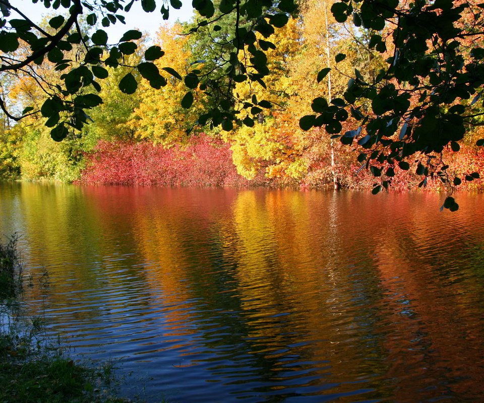 Обои река, природа, осень, river, nature, autumn разрешение 3671x2468 Загрузить