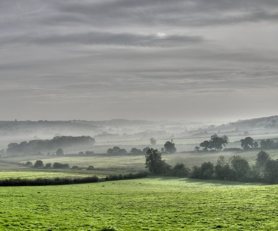 Обои деревья, поля, туман, trees, field, fog разрешение 1920x1440 Загрузить