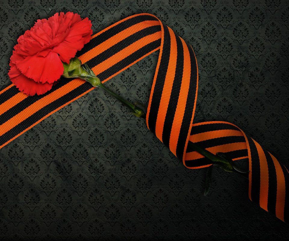 Обои день победы, георгиевская лента, 9 мая, гвоздика, victory day, st. george ribbon, may 9, carnation разрешение 1920x1200 Загрузить