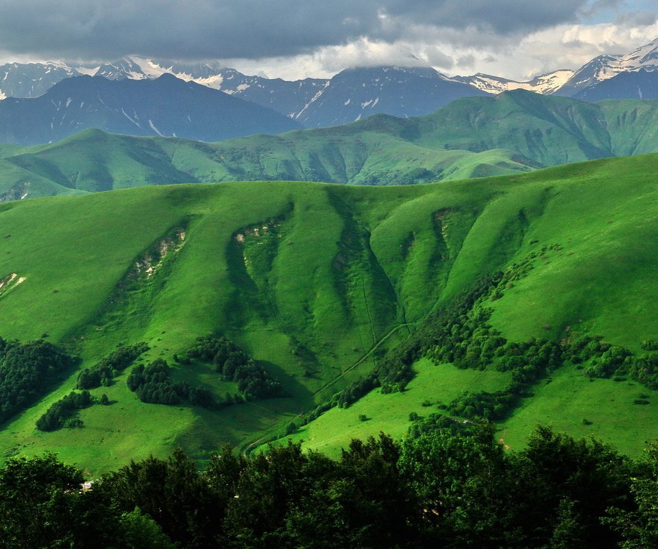 Обои трава, горы, южная осетия, grass, mountains, south ossetia разрешение 1920x1200 Загрузить