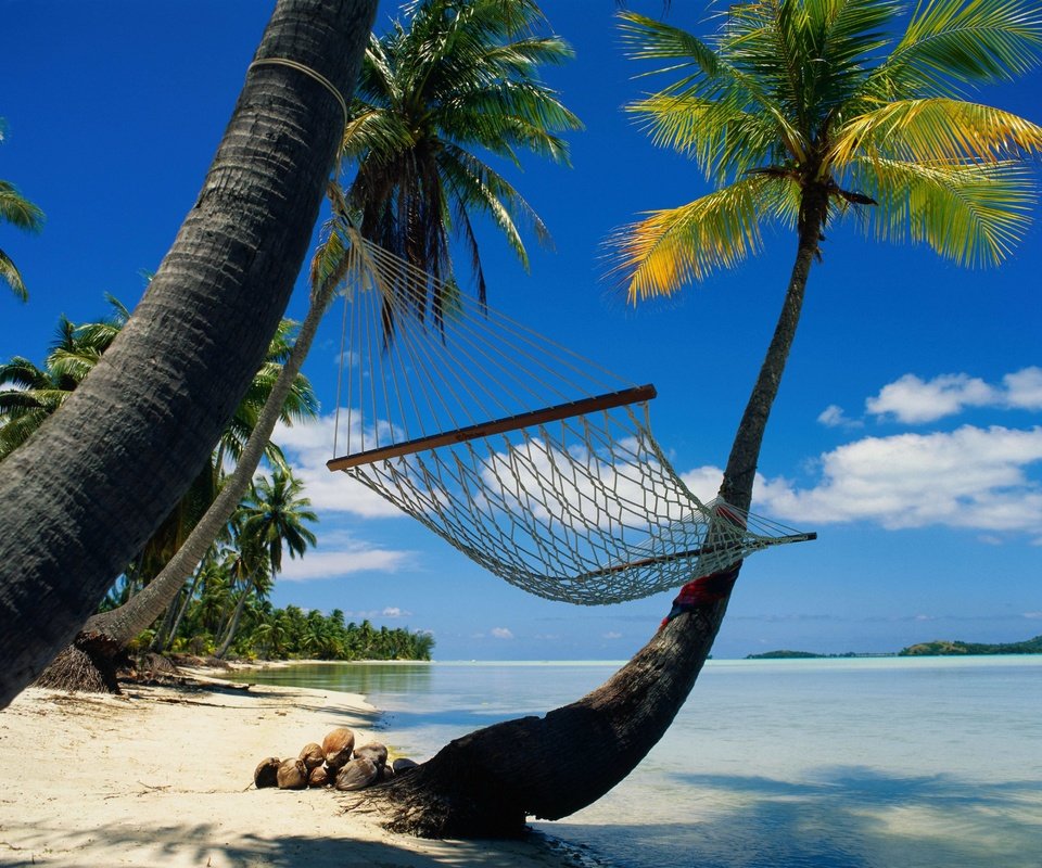 Обои пальмы, релакс, гамак, лагуна, palm trees, relax, hammock, laguna разрешение 4096x3337 Загрузить