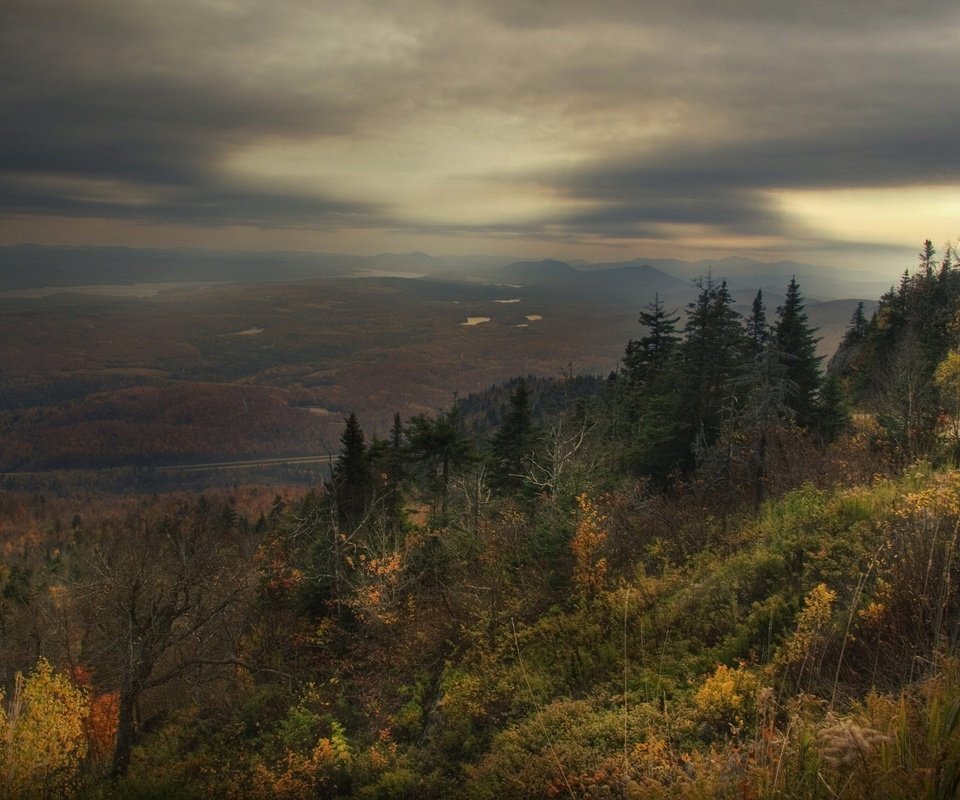 Обои лес, грусть, осень, forest, sadness, autumn разрешение 1920x1440 Загрузить