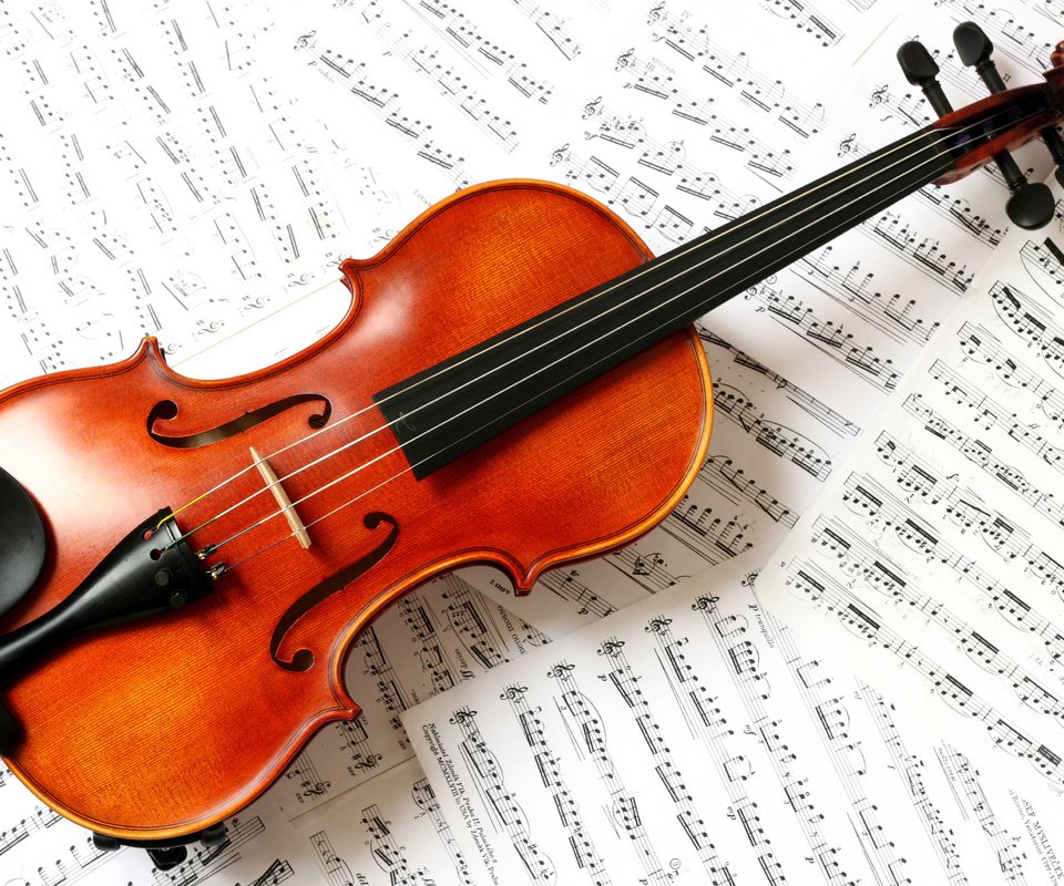 Обои ноты, скрипка, струны, классика, музыкальный инструмент, notes, violin, strings, classic, musical instrument разрешение 3888x2592 Загрузить