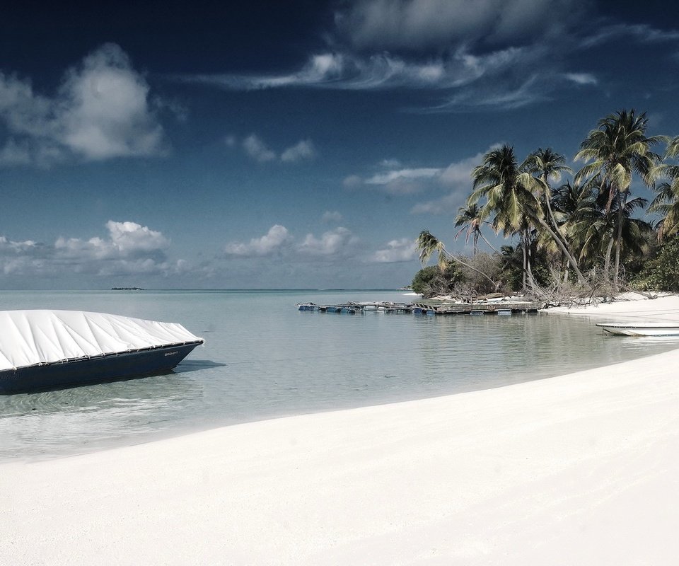 Обои берег, лодка, пальмы, shore, boat, palm trees разрешение 3200x1200 Загрузить