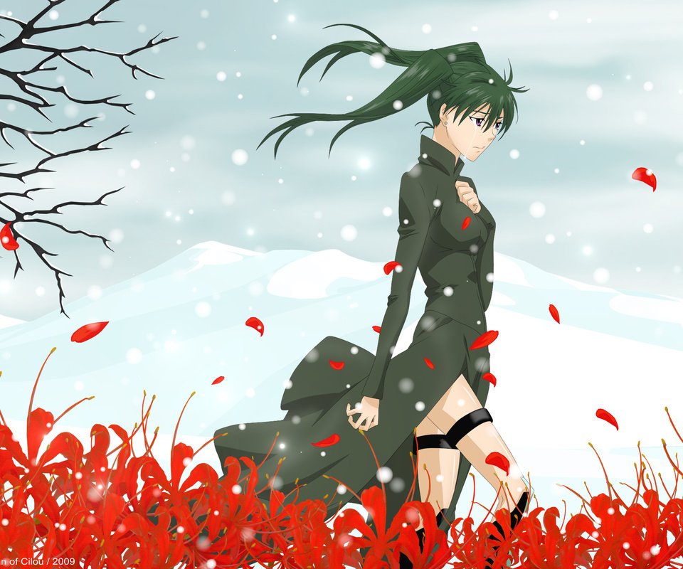 Обои цветы, поле, слезы, d.gray-man, lenalee lee, flowers, field, tears разрешение 2560x1600 Загрузить