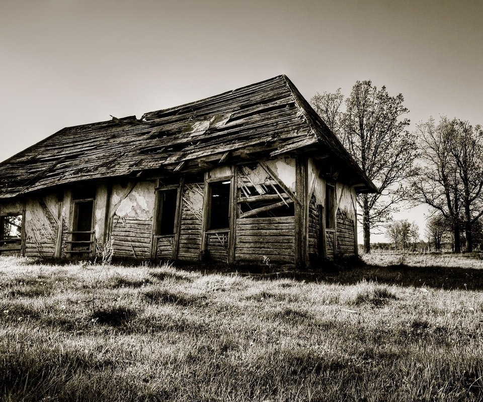 Обои развалины, старина, сепия, дом, the ruins, old, sepia, house разрешение 2560x1600 Загрузить