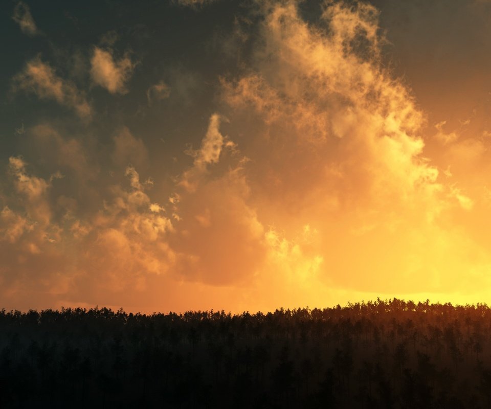 Обои облака, деревья, закат, clouds, trees, sunset разрешение 2560x1600 Загрузить