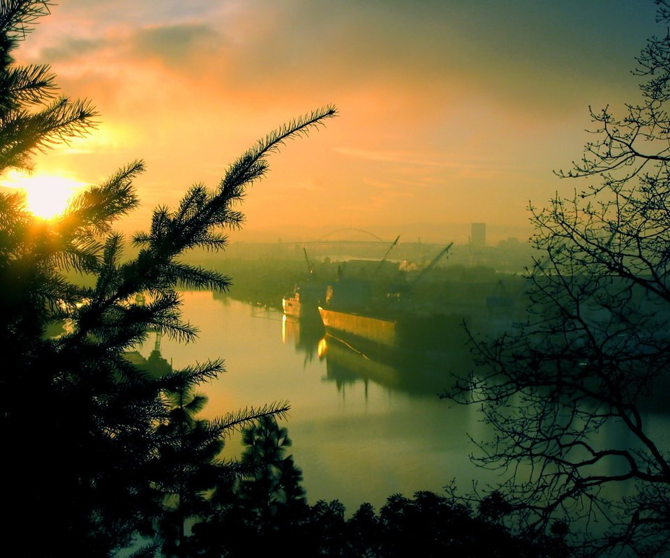 Обои деревья, река, елка, утро, порт, баржа, trees, river, tree, morning, port, barge разрешение 1920x1440 Загрузить