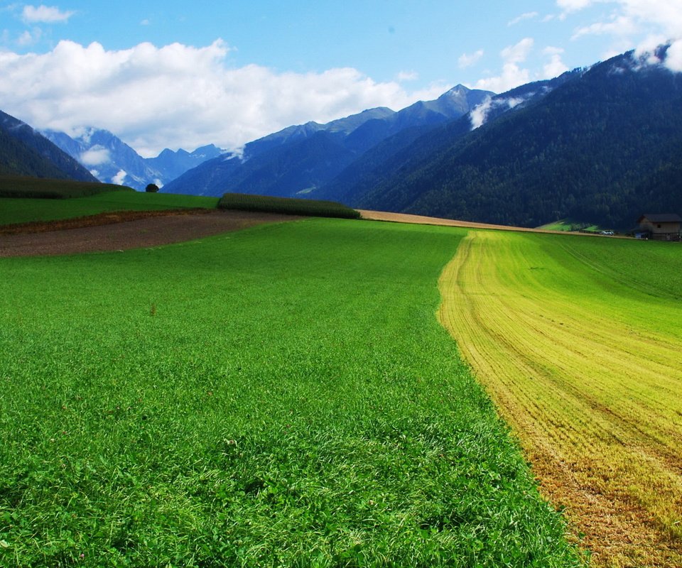 Обои небо, дорога, трава, горы, поле, the sky, road, grass, mountains, field разрешение 1920x1200 Загрузить