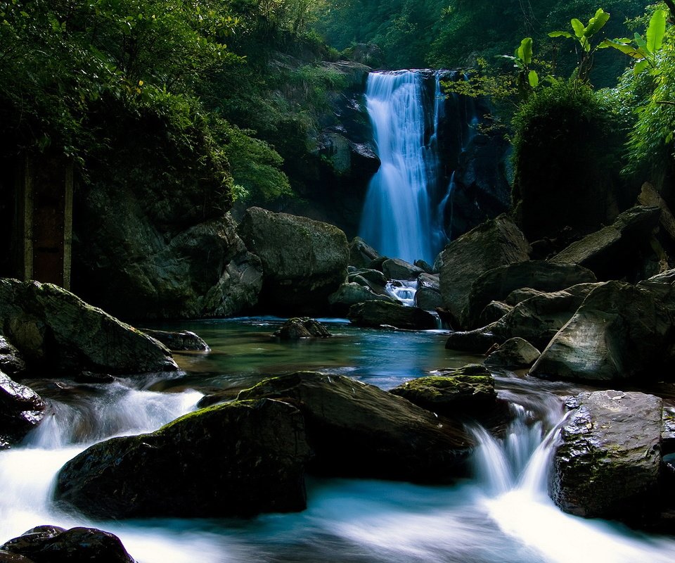 Обои камни, лес, водопад, тропики, stones, forest, waterfall, tropics разрешение 1920x1080 Загрузить