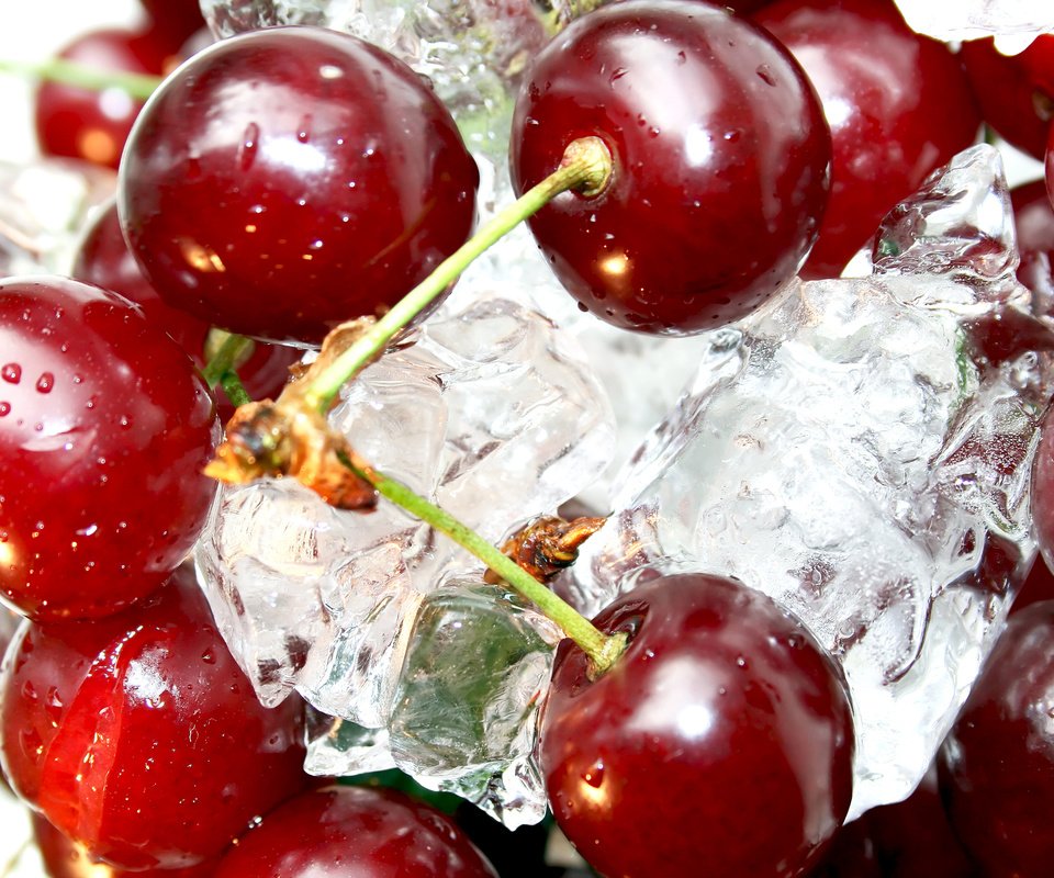 Обои макро, ягода, лёд, спелая, вишня, macro, berry, ice, ripe, cherry разрешение 2560x1600 Загрузить
