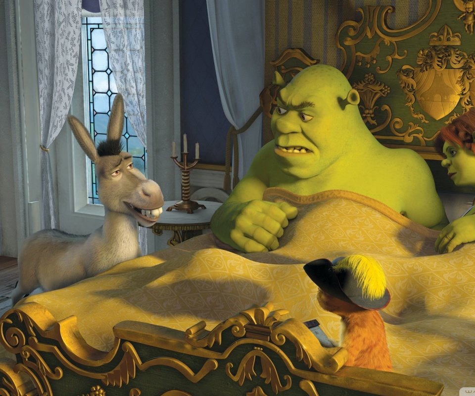 Обои кот, осел, шрек, фиона, cat, donkey, shrek, fiona разрешение 1920x1080 Загрузить