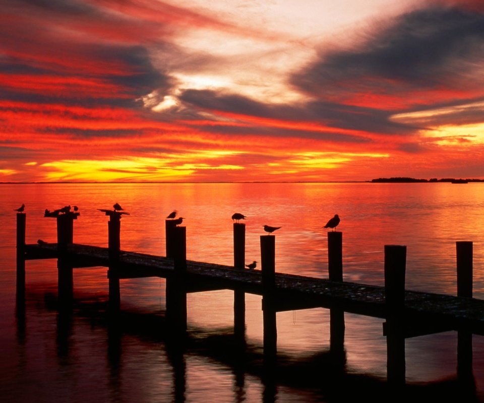 Обои озеро, закат, причал, чайки, lake, sunset, pier, seagulls разрешение 1999x1333 Загрузить