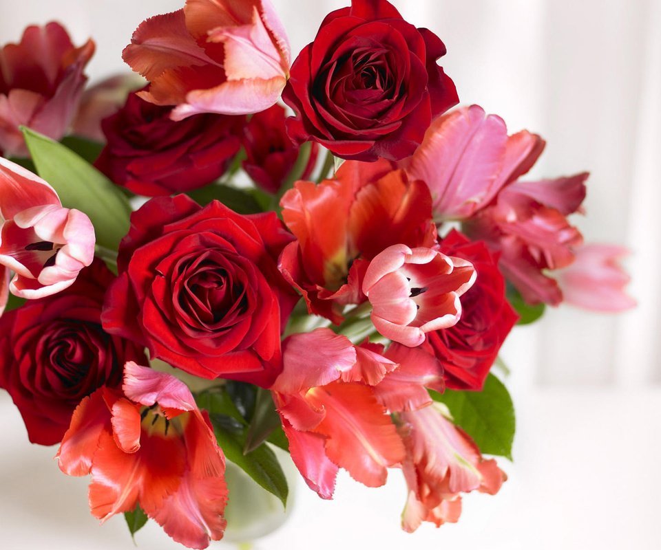 Обои розы, весна, букет, тюльпаны, roses, spring, bouquet, tulips разрешение 1920x1200 Загрузить