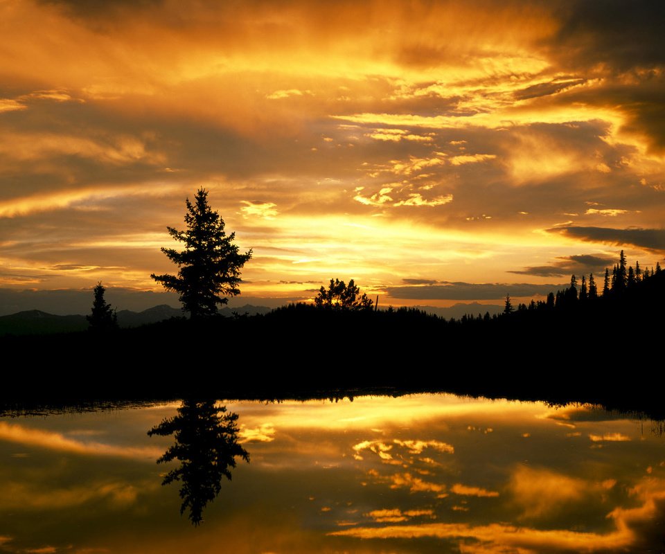 Обои небо, вечер, озеро, лес, закат, отражение, ель, the sky, the evening, lake, forest, sunset, reflection, spruce разрешение 2000x1333 Загрузить