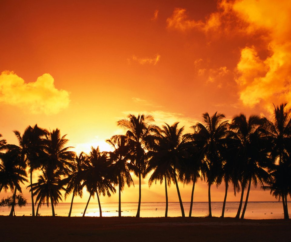 Обои небо, облака, закат, пальмы, the sky, clouds, sunset, palm trees разрешение 1999x1333 Загрузить