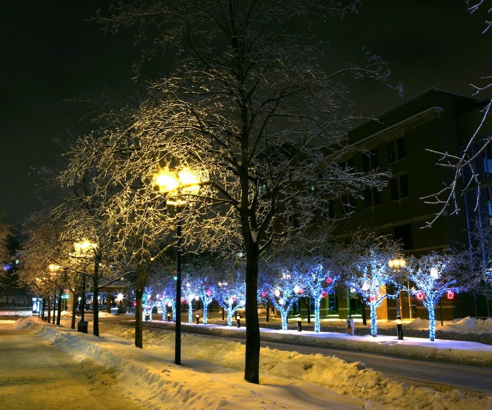 Обои деревья, фонари, огни, снег, зима, город, trees, lights, snow, winter, the city разрешение 2560x1600 Загрузить
