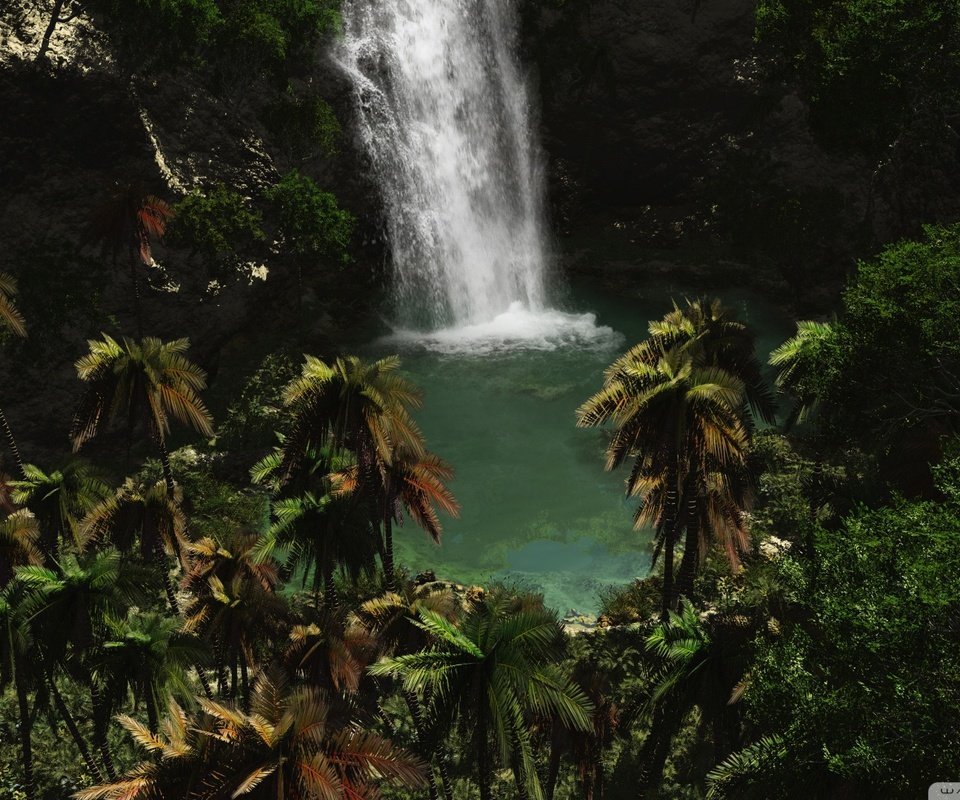 Обои вода, зелень, водопад, пальмы, water, greens, waterfall, palm trees разрешение 1920x1080 Загрузить