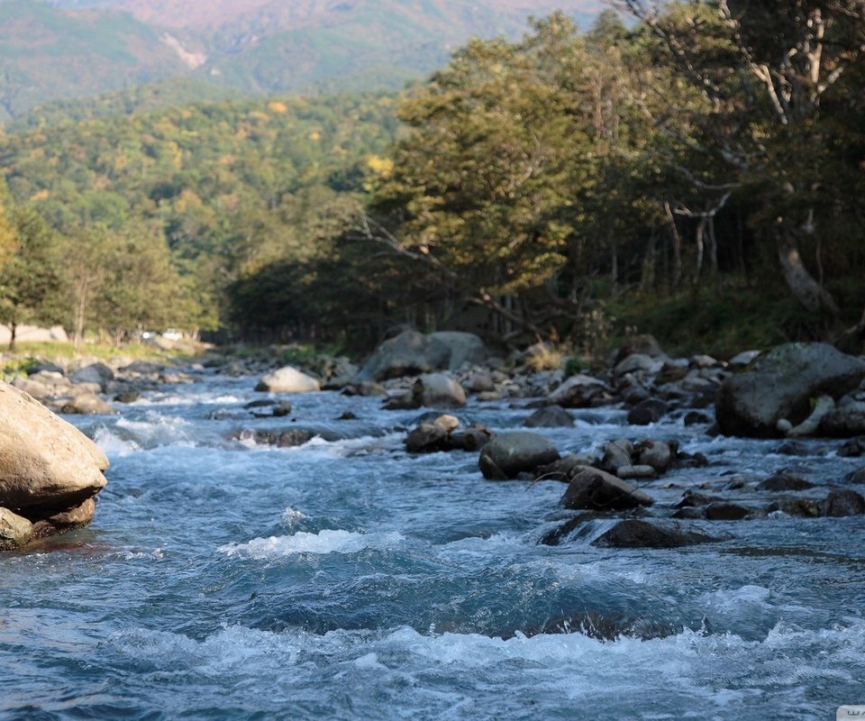 Обои вода, камни, брызги, поток, горная река, water, stones, squirt, stream, mountain river разрешение 1920x1080 Загрузить