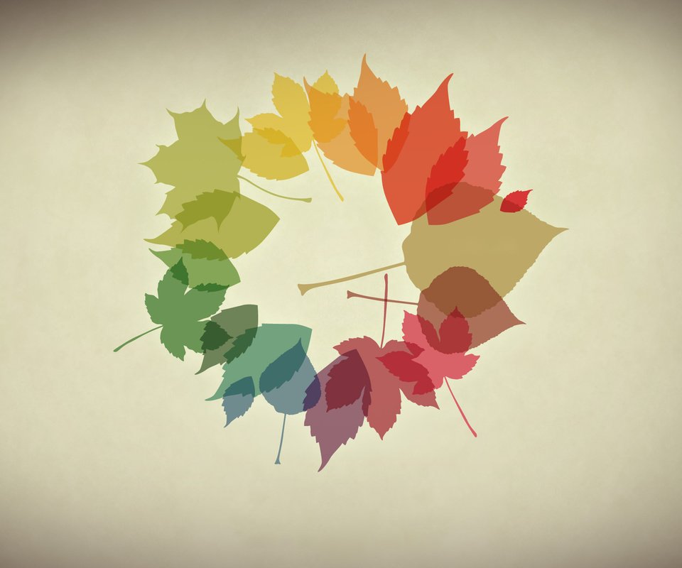 Обои обои, листья, осень, минимализм, осенние обои, wallpaper, leaves, autumn, minimalism, autumn wallpaper разрешение 2560x1440 Загрузить