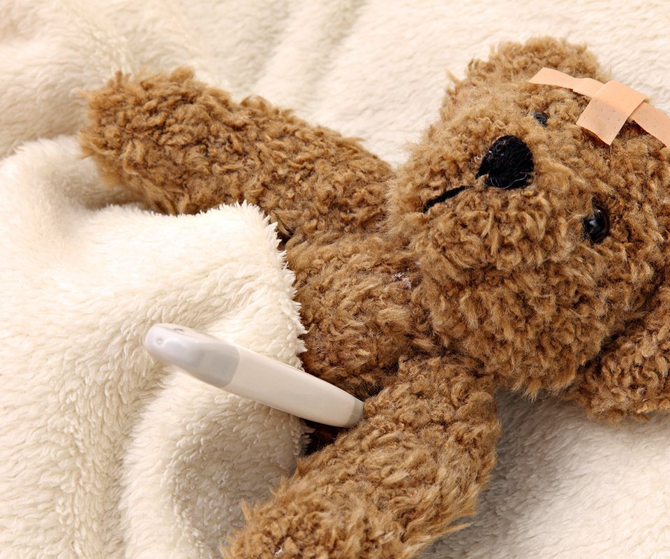 Обои мишка, игрушка, одеяло, болезнь, градусник, мягкая, лейкопластырь, bear, toy, blanket, disease, thermometer, soft, band-aid разрешение 1920x1080 Загрузить