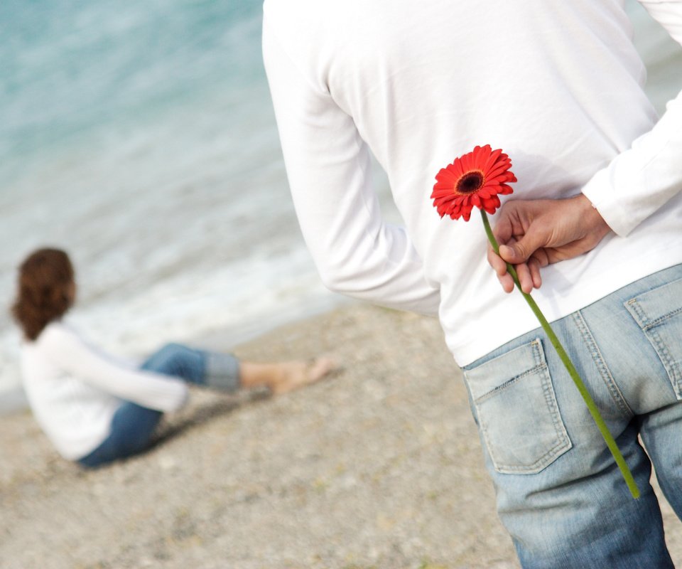 Обои цветок, пляж, любовь, романтика, пара, flower, beach, love, romance, pair разрешение 3276x2336 Загрузить