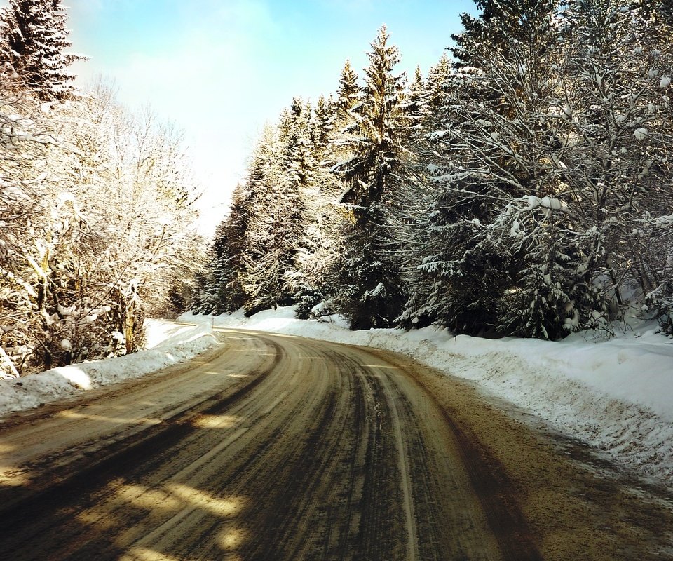 Обои дорога, деревья, снег, зима, елки, road, trees, snow, winter, tree разрешение 2560x1600 Загрузить