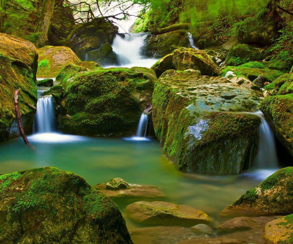 Обои лес, водопад, мох, forest, waterfall, moss разрешение 4752x3168 Загрузить