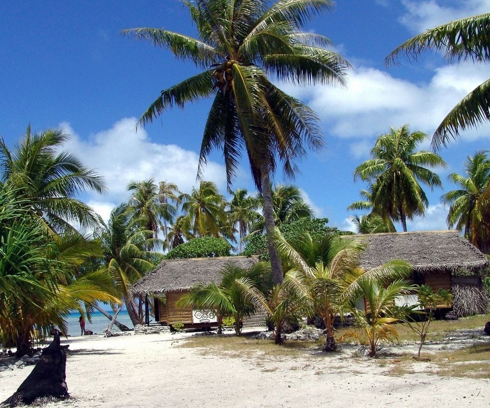 Обои солнце, пляж, пальмы, бунгало, французская полинезия, the sun, beach, palm trees, bungalow, french polynesia разрешение 1920x1080 Загрузить