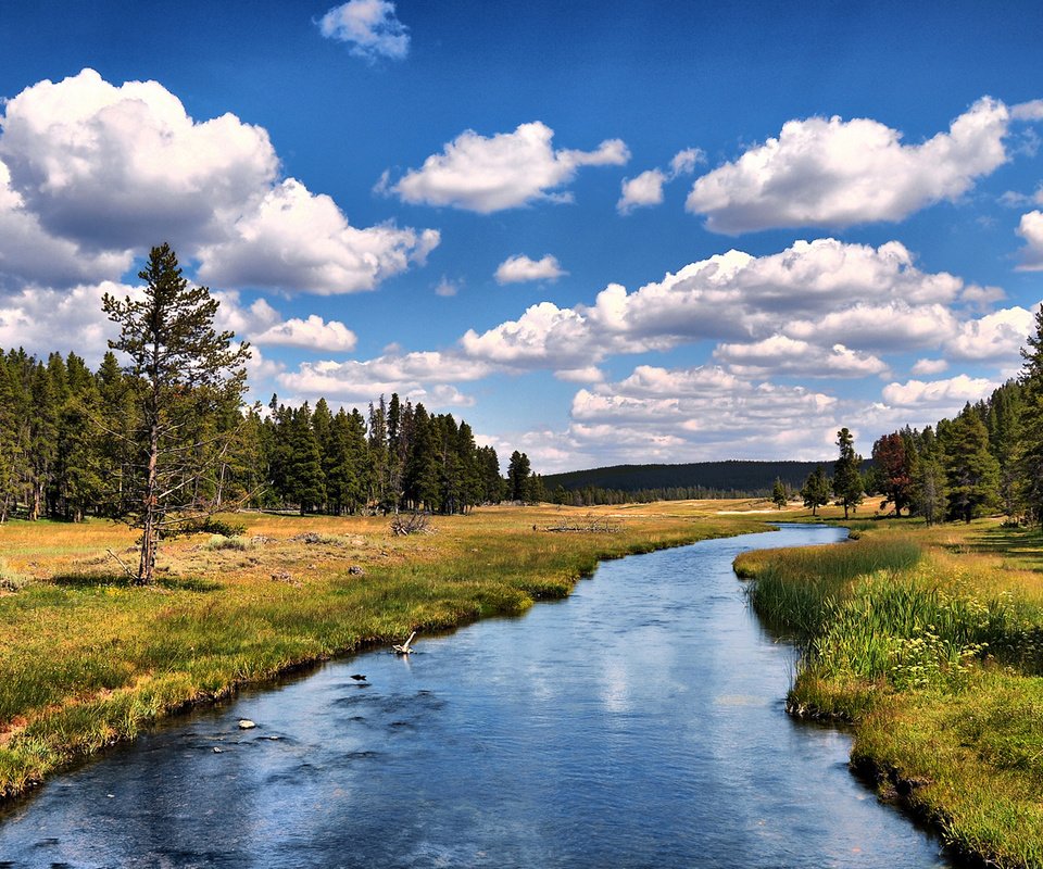 Обои небо, облака, деревья, река, лес, the sky, clouds, trees, river, forest разрешение 1920x1080 Загрузить