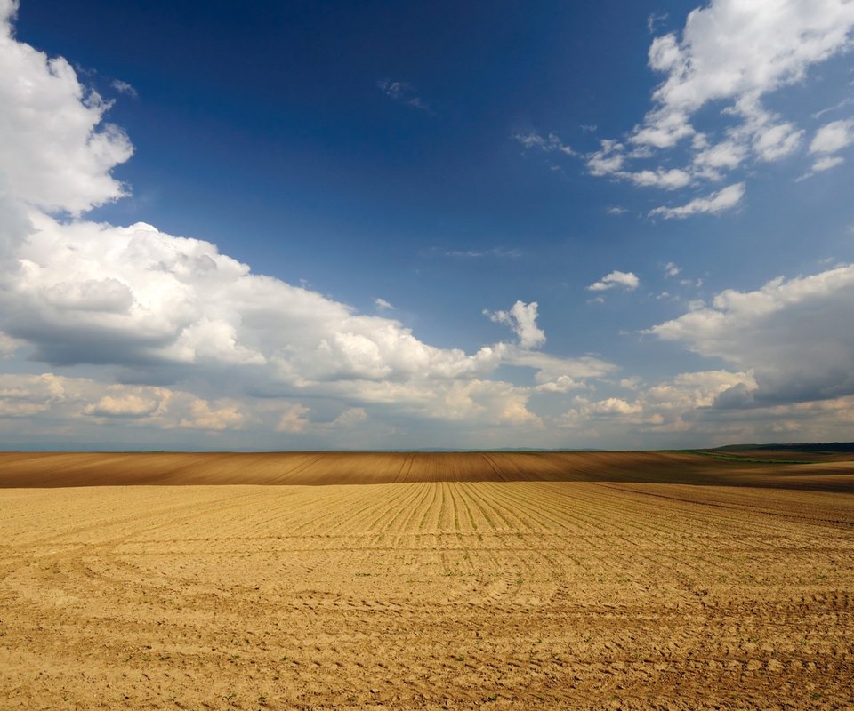 Обои небо, облака, поле, горизонт, the sky, clouds, field, horizon разрешение 1920x1080 Загрузить