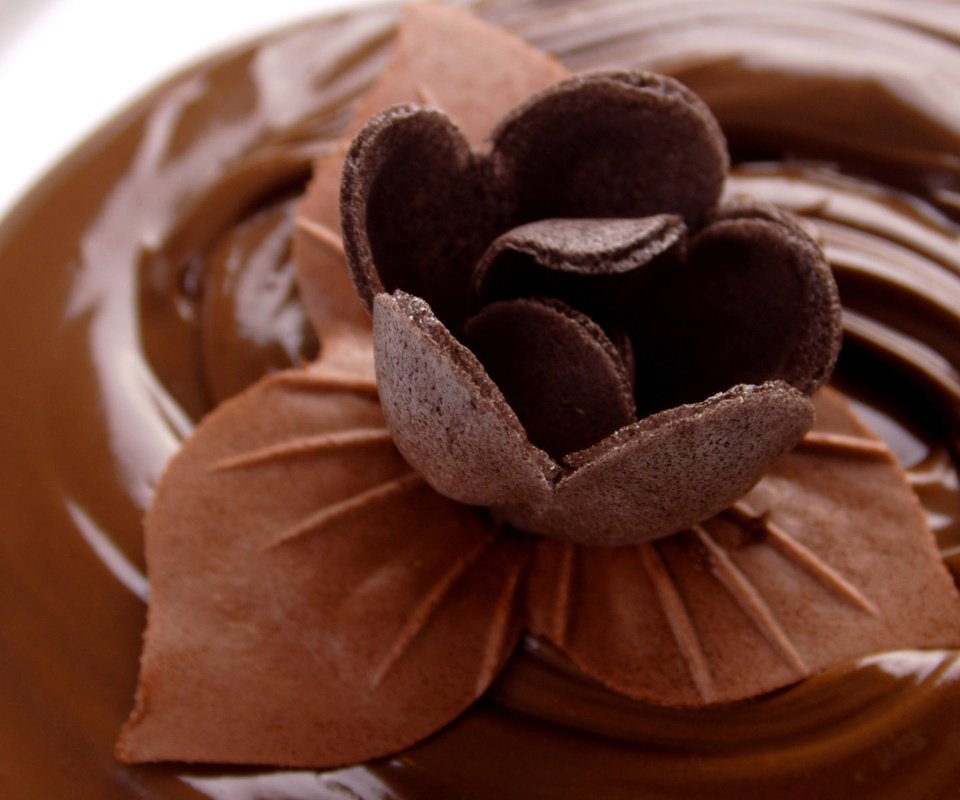 Обои шоколад, сладкое, шоколадный цветок, chocolate, sweet, chocolate flower разрешение 1920x1200 Загрузить