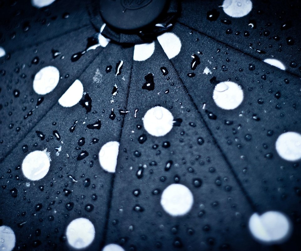 Обои капли, круги, зонт, зонтик, капли дождя, drops, circles, umbrella, raindrops разрешение 2560x1713 Загрузить