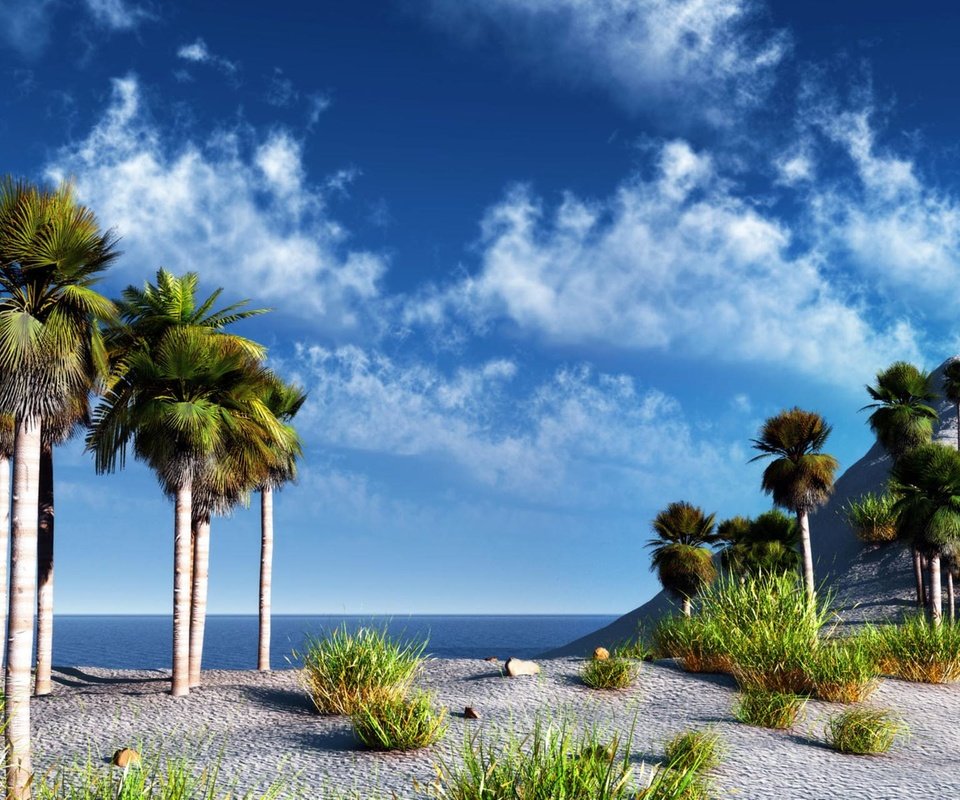 Обои небо, море, пальмы, the sky, sea, palm trees разрешение 2048x1280 Загрузить