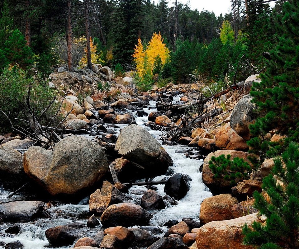 Обои небо, поток, деревья, вода, горы, природа, камни, пейзаж, ручей, the sky, trees, water, mountains, nature, stones, landscape, stream разрешение 1920x1080 Загрузить