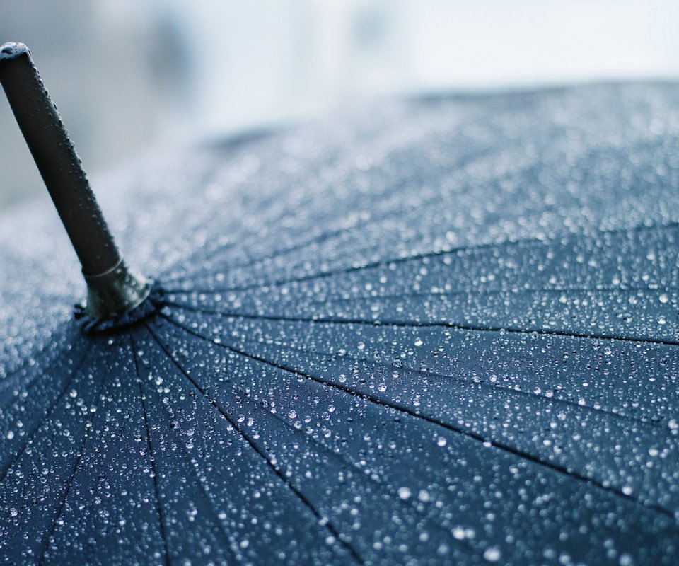 Обои макро, капли, дождь, зонт, зонтик, macro, drops, rain, umbrella разрешение 1920x1080 Загрузить