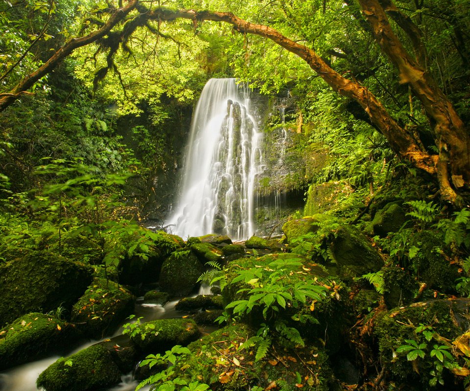 Обои камни, растения, водопад, мох, папоротник, stones, plants, waterfall, moss, fern разрешение 1920x1080 Загрузить