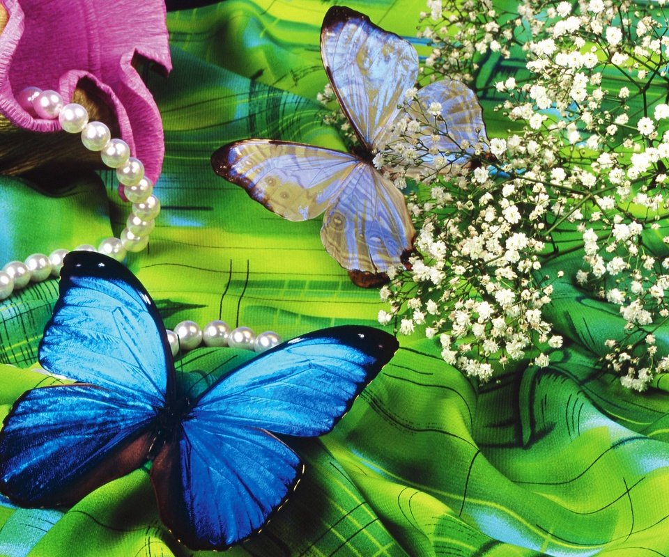 Обои бабочка, butterfly разрешение 1920x1440 Загрузить