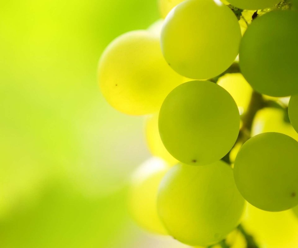 Обои свет, макро, виноград, гроздь, виноградная гроздь, light, macro, grapes, bunch, a bunch of grapes разрешение 1920x1200 Загрузить