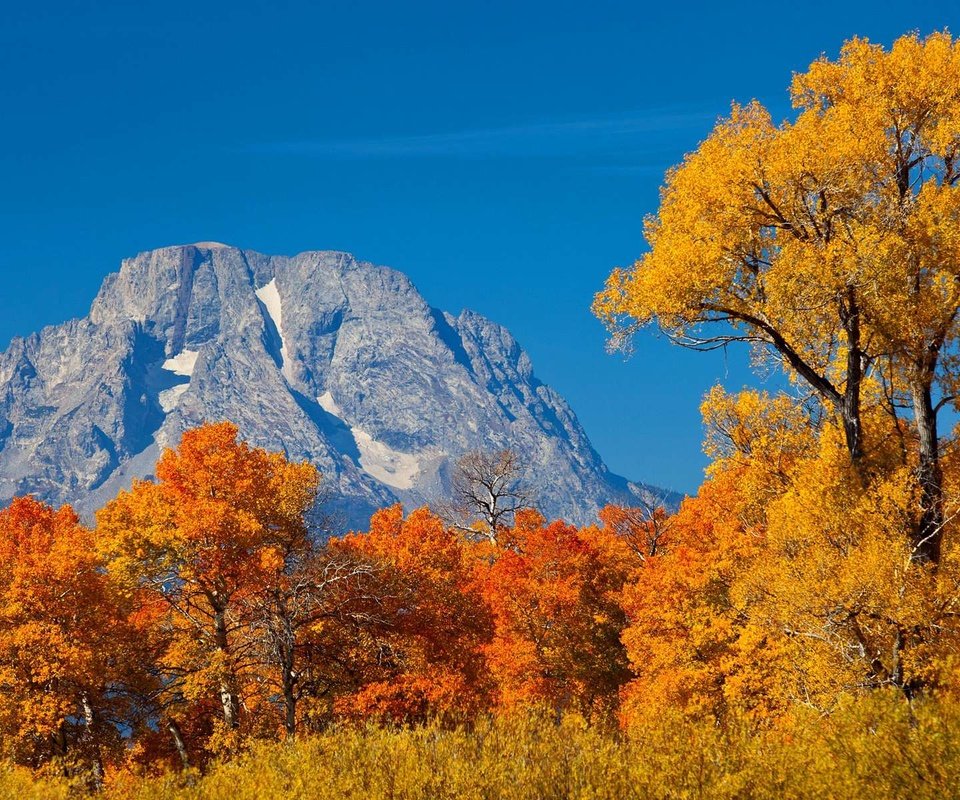 Обои небо, горы, лес, осень, the sky, mountains, forest, autumn разрешение 1920x1200 Загрузить