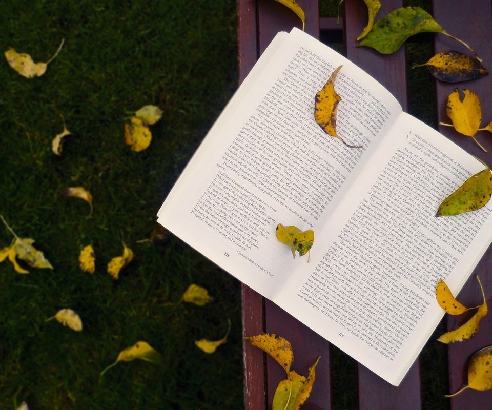 Обои трава, листья, осень, скамейка, листопад, книга, grass, leaves, autumn, bench, falling leaves, book разрешение 1920x1200 Загрузить