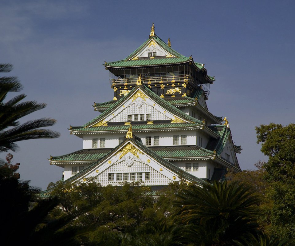 Обои деревья, япония, дворец, осака, trees, japan, palace, osaka разрешение 2945x1936 Загрузить