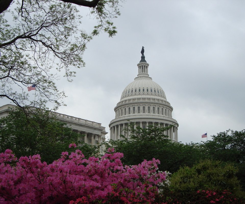 Обои вашингтон, белый дом, капитолий, washington, the white house, capitol разрешение 3072x2304 Загрузить