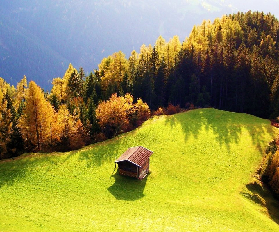 Обои трава, роща, деревья, горы, лес, осень, луг, дом, зеленая, grass, grove, trees, mountains, forest, autumn, meadow, house, green разрешение 1920x1200 Загрузить