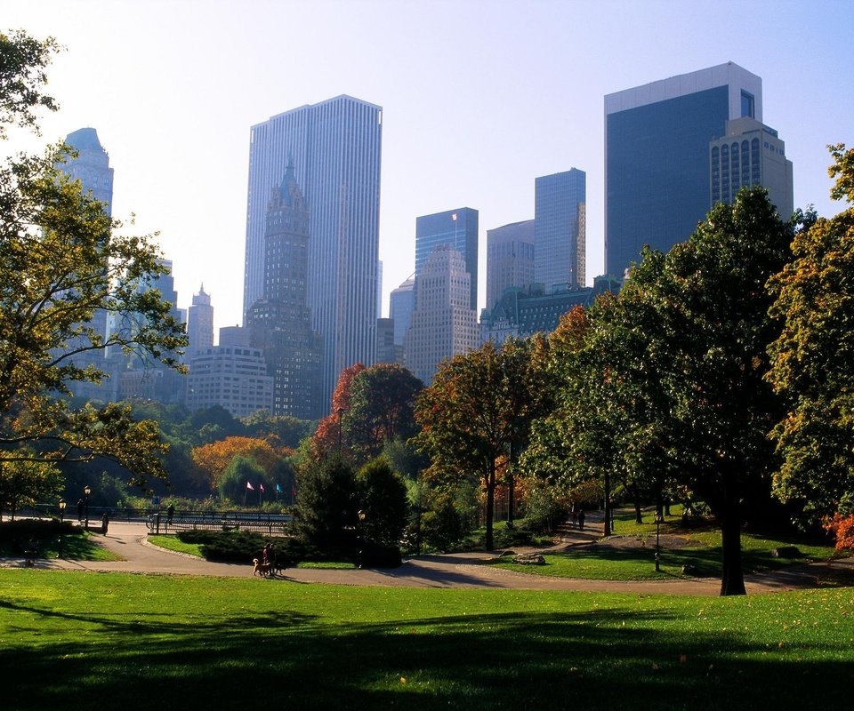 Обои деревья, парк, лето, город, небоскребы, trees, park, summer, the city, skyscrapers разрешение 2534x1686 Загрузить