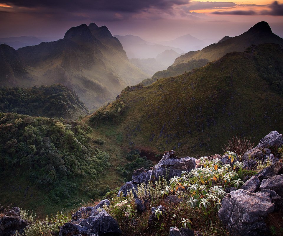 Обои небо, цветы, горы, камни, тучи, таиланд, растительность, the sky, flowers, mountains, stones, clouds, thailand, vegetation разрешение 1920x1200 Загрузить