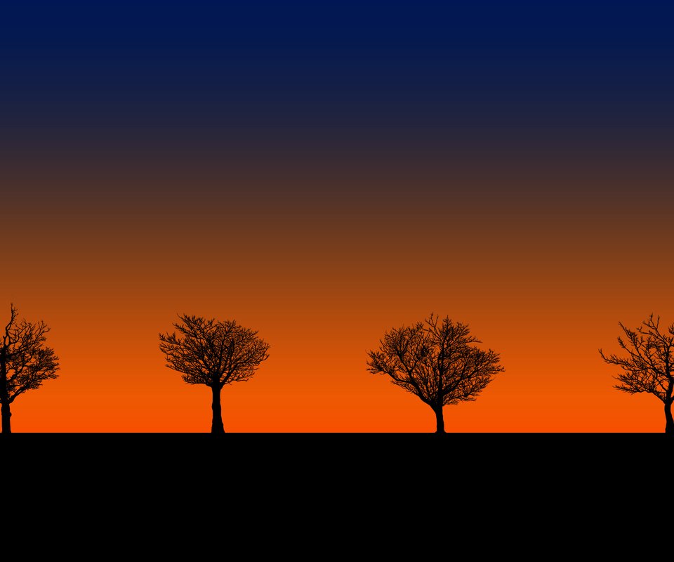 Обои деревья, закат, силуэты, trees, sunset, silhouettes разрешение 2560x1600 Загрузить