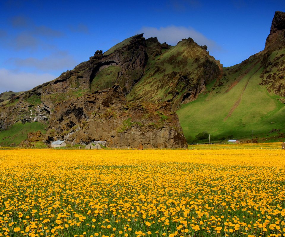 Обои небо, цветы, горы, поле, весна, одуванчики, долина, желтые, the sky, flowers, mountains, field, spring, dandelions, valley, yellow разрешение 2048x1388 Загрузить