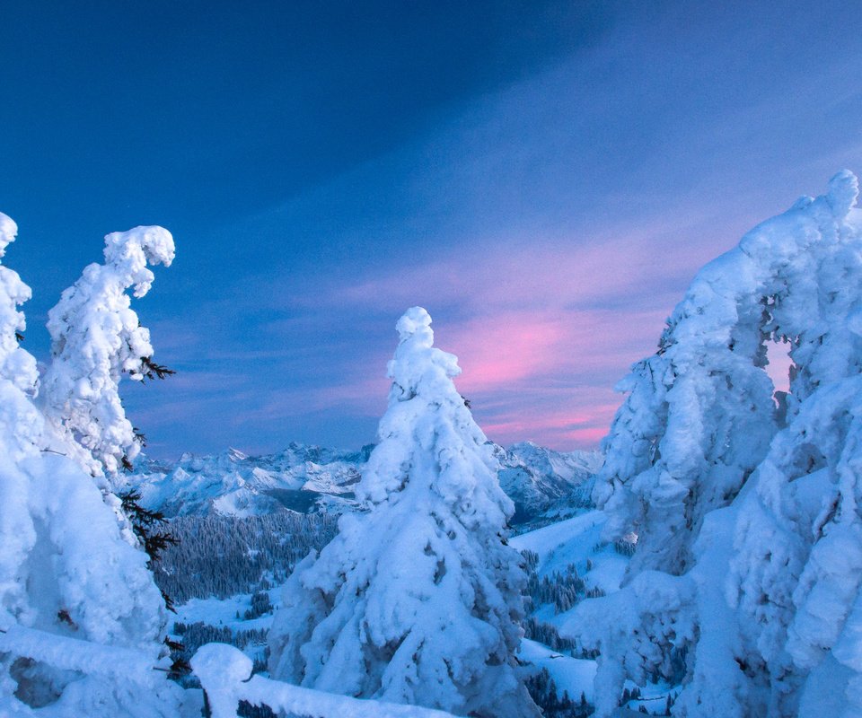 Обои небо, швейцария, деревья, ели, горы, снег, природа, лес, закат, зима, the sky, switzerland, trees, ate, mountains, snow, nature, forest, sunset, winter разрешение 1920x1200 Загрузить